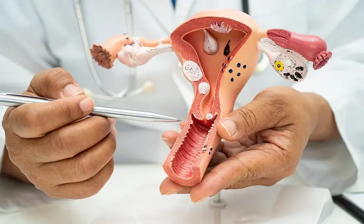 Irene & Jon Clinic for Women gynaecology services and anatomical consultation