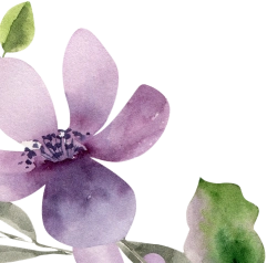 Watercolor illustration of a blooming purple flower